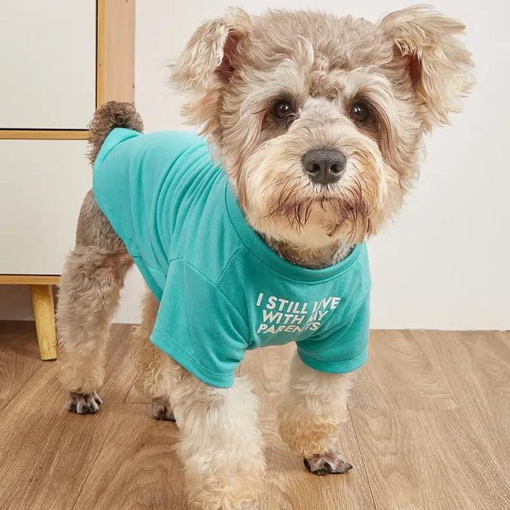 Round Neck Pet T Shirt Lightweight Comfortable Clothing