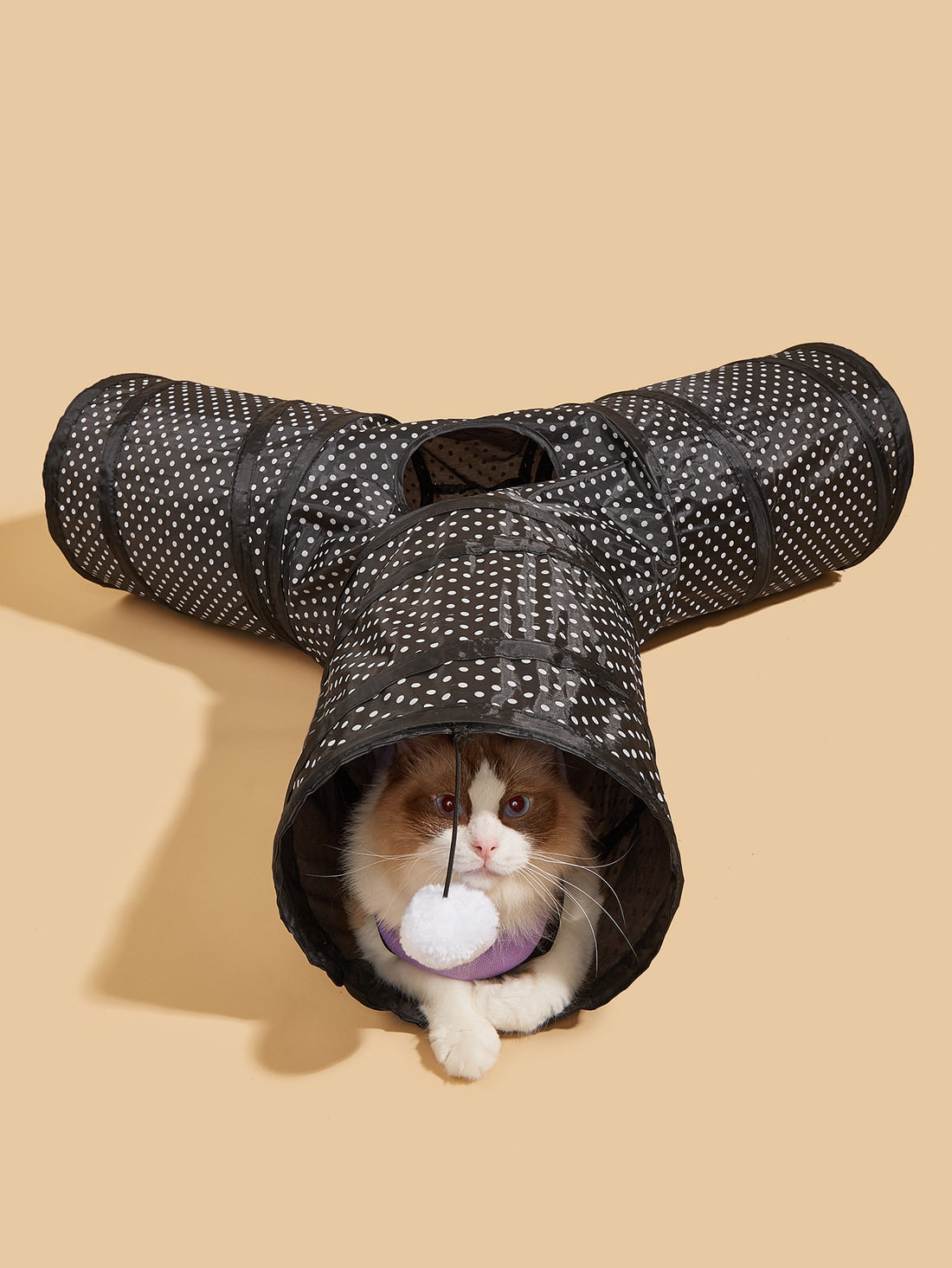 Collapsible Tunnel Pet Play Channel Interactive Toy
