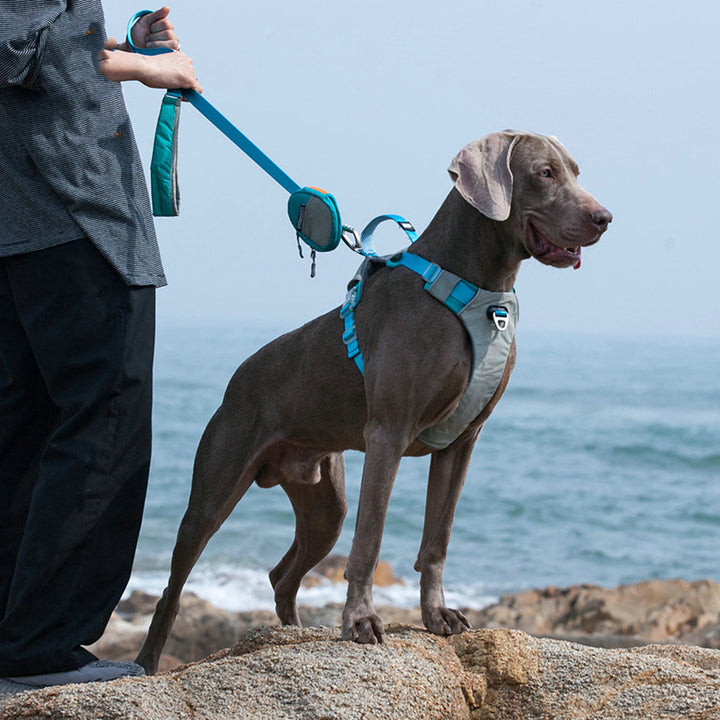 Anti Pull Pet Chest Harness With Storage Bag Leash