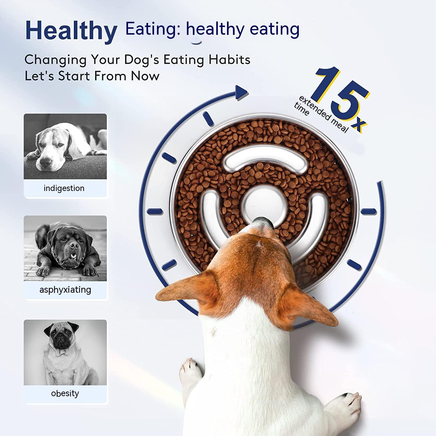 Stainless Steel Pet Slow Feeding Bowl Neck Protector Dish