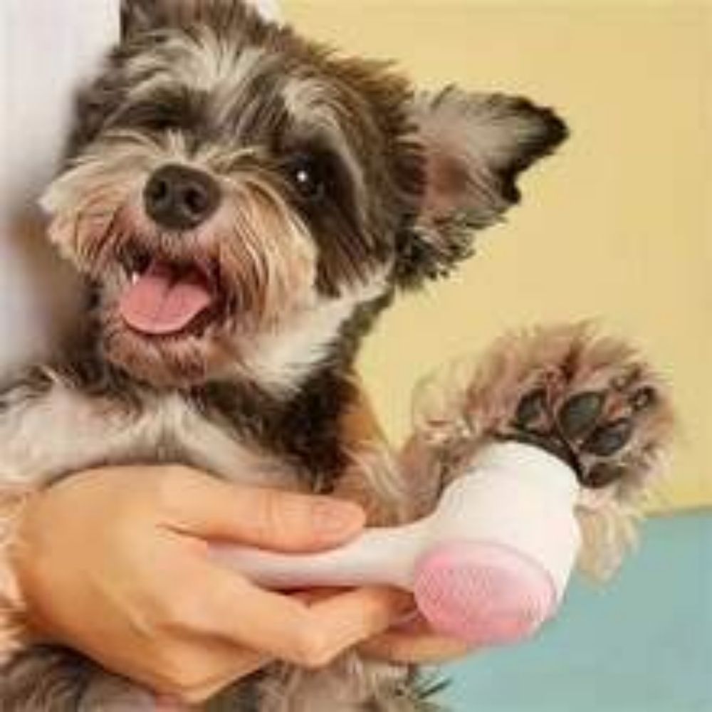 Easy Clean Nylon Pet Paw Grooming Brush For Massage And Cleaning