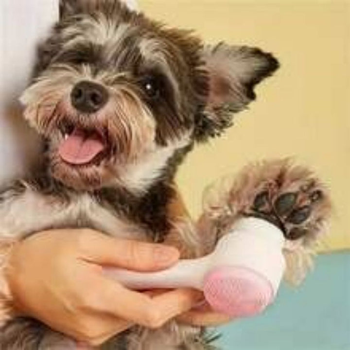 Easy Clean Nylon Pet Paw Grooming Brush For Massage And Cleaning