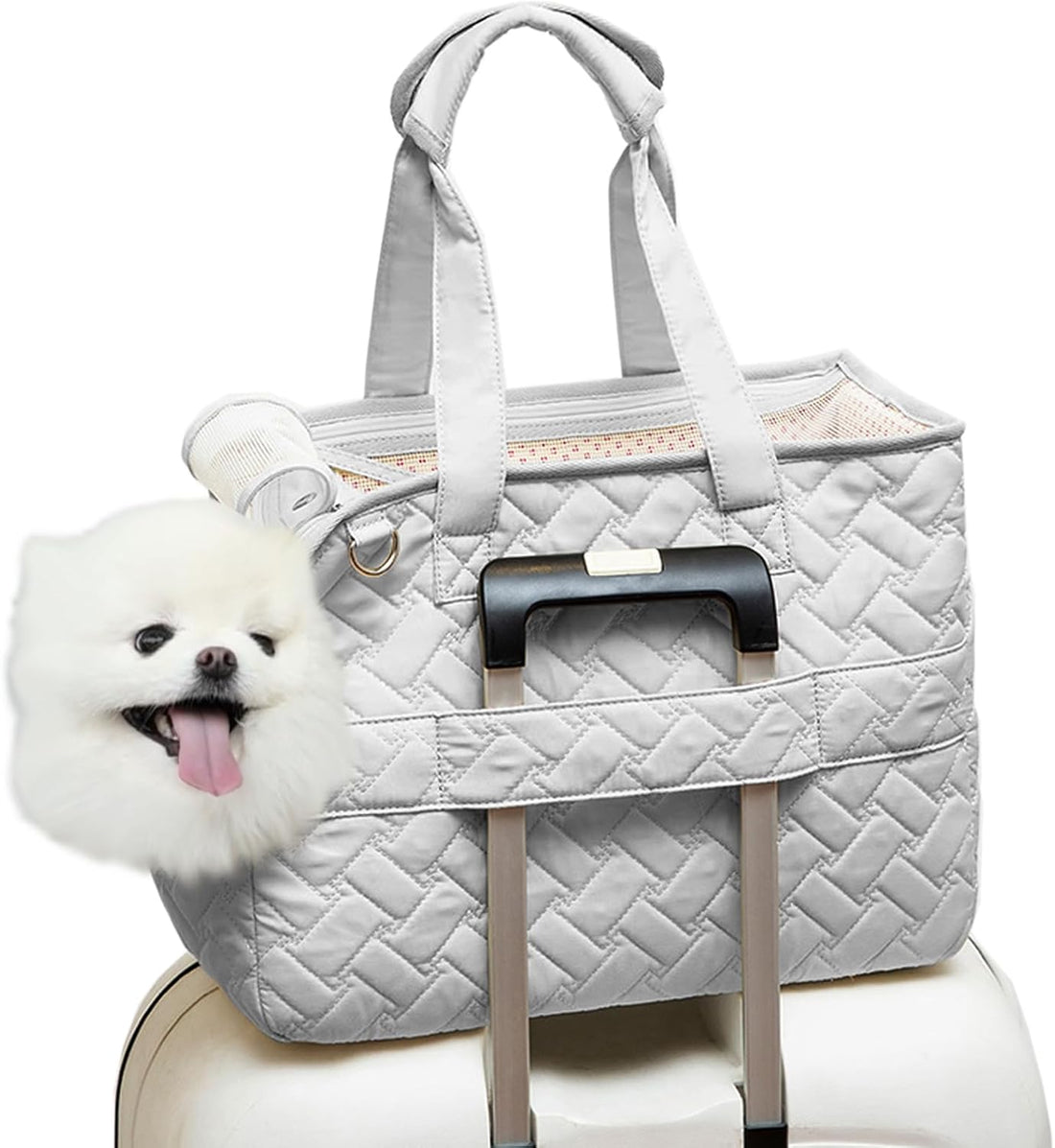 Breathable Mesh Pet Carrier Tote Bag With Soft Cushion