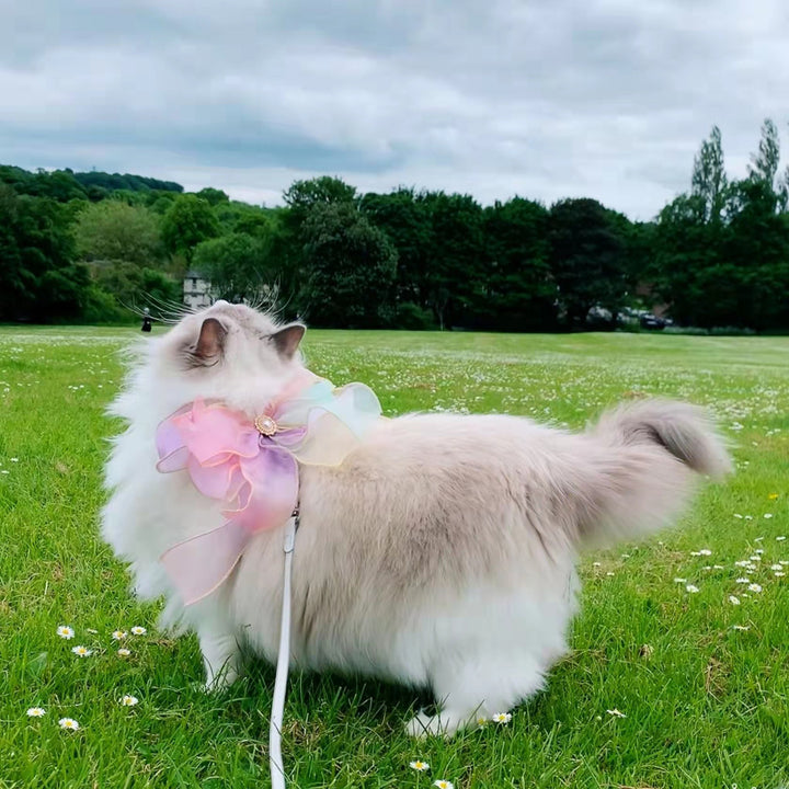 Lightweight Butterfly Flying Pet Retractable Anti Escape Leash System