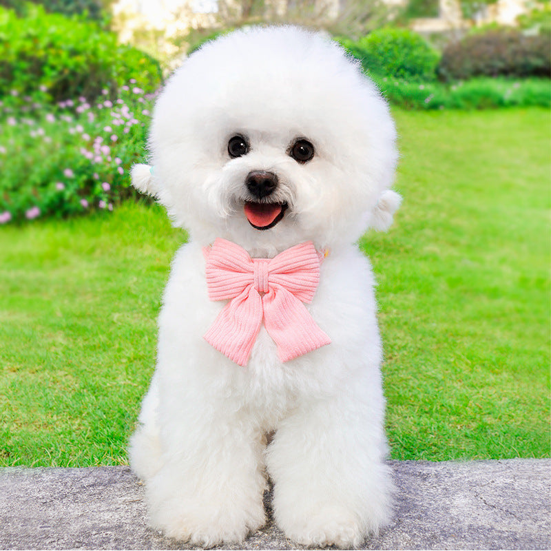 Outdoor Pet Harness And Leash Set For Walking