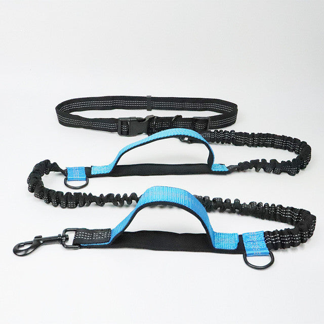 Adjustable Pet Harness And Collar Jogging Leash Set