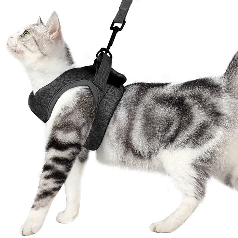 Breathable Lace Style Pet Chest Strap Lightweight Leash