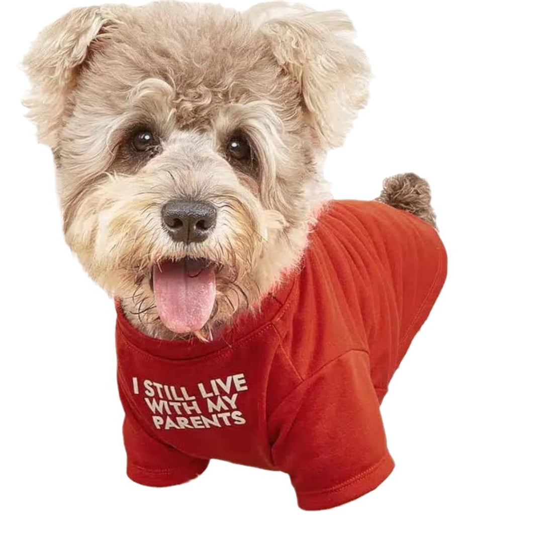 Round Neck Pet T Shirt Lightweight Comfortable Clothing