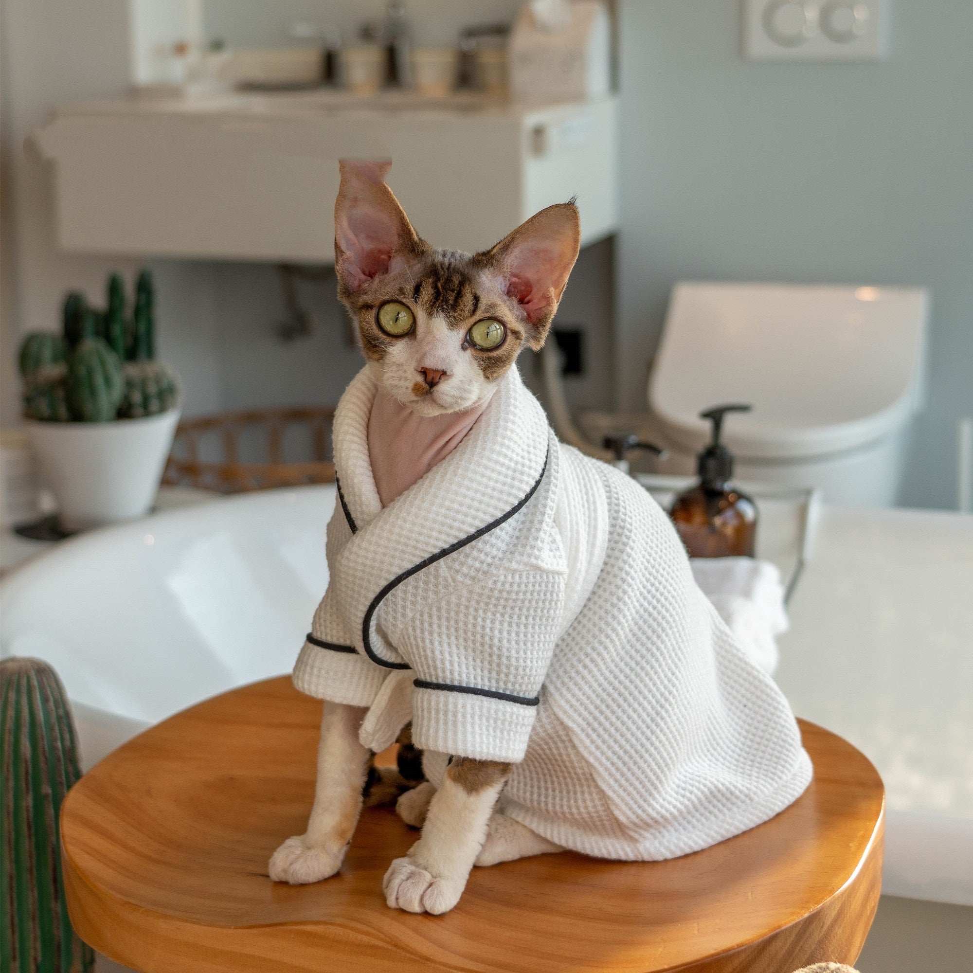 Pet Bathrobe Soft Highly Absorbent Drying Towel