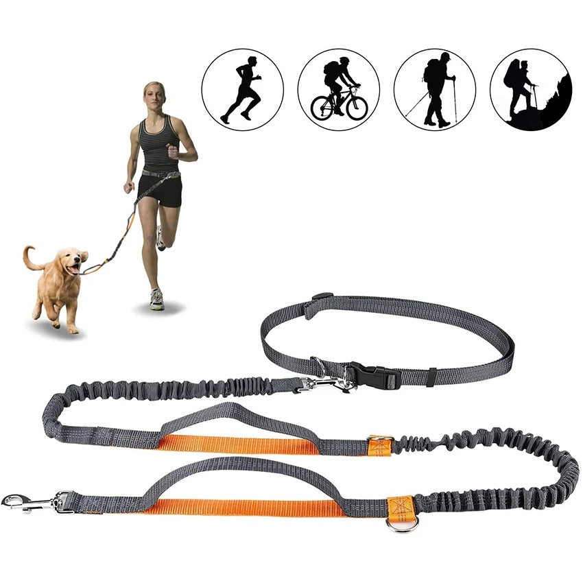 Adjustable Pet Harness And Collar Jogging Leash Set