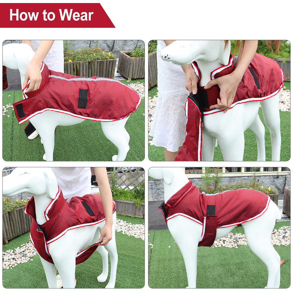 Pet Winter Warm Waterproof Leisure Jacket Apparel