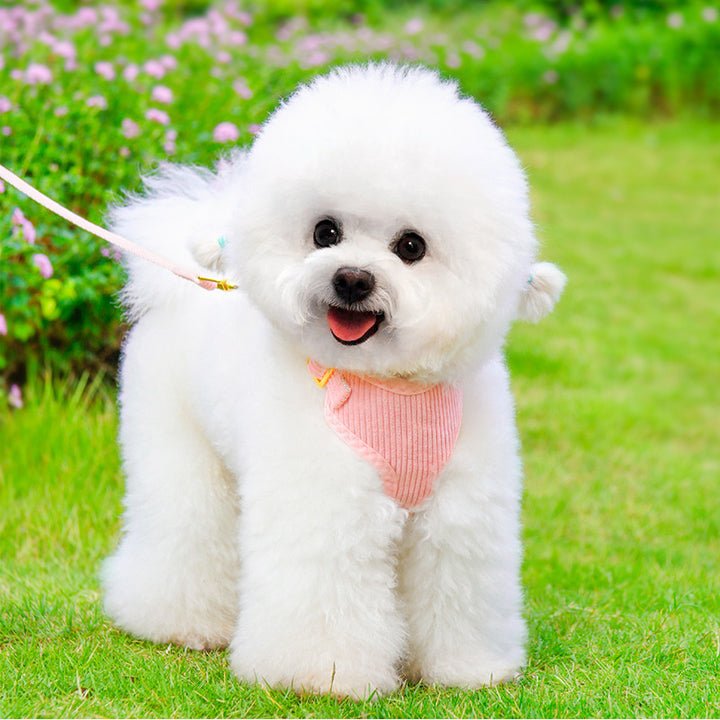 Outdoor Pet Harness And Leash Set For Walking