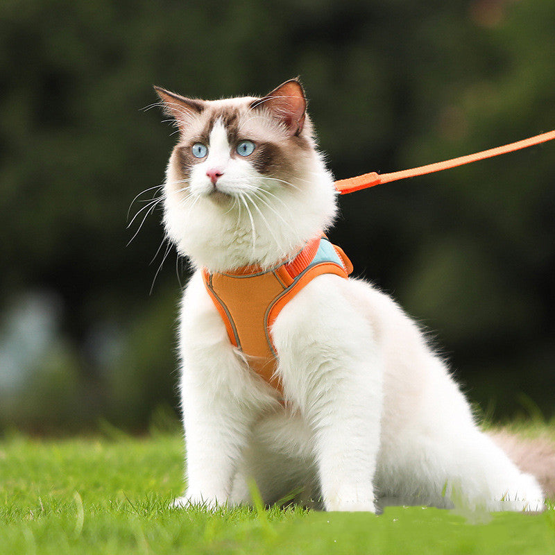 Reflective Anti Escape Pet Harness And Leash Set