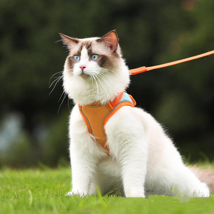 Reflective Anti Escape Pet Harness And Leash Set