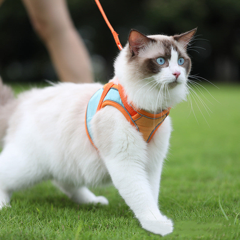 Reflective Anti Escape Pet Harness And Leash Set