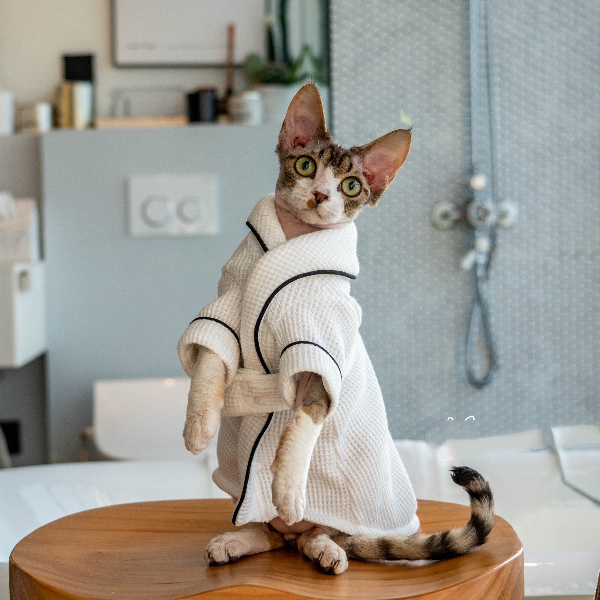 Pet Bathrobe Soft Highly Absorbent Drying Towel