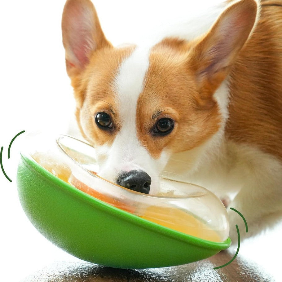 Durable Anti-Tumble Avocado Shaped Pet Feeding Bowl Dish