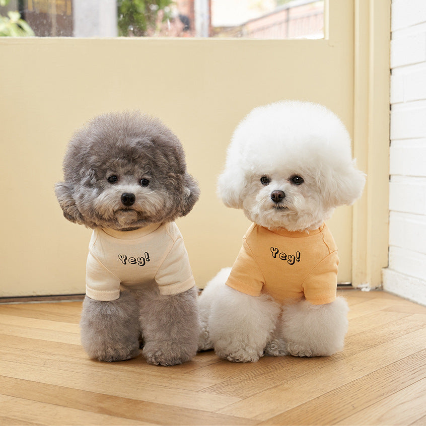 Korean Style Pet Cotton T Shirt Color Print Apparel
