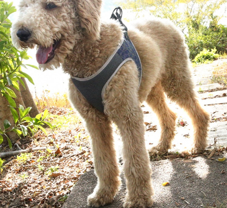 Vest Style Pet Harness And Leash Durable Control Gear