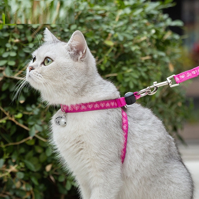Bell Style Pet Chest Strap Vest With Leash For Small Pets