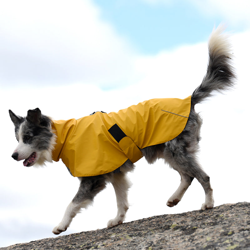 Pet Waterproof Windproof Shell Raincoat Jacket Apparel