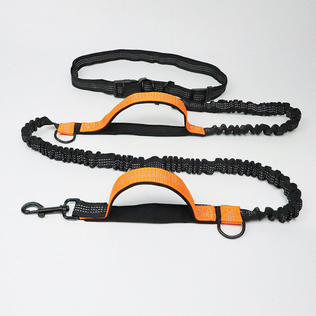 Adjustable Pet Harness And Collar Jogging Leash Set
