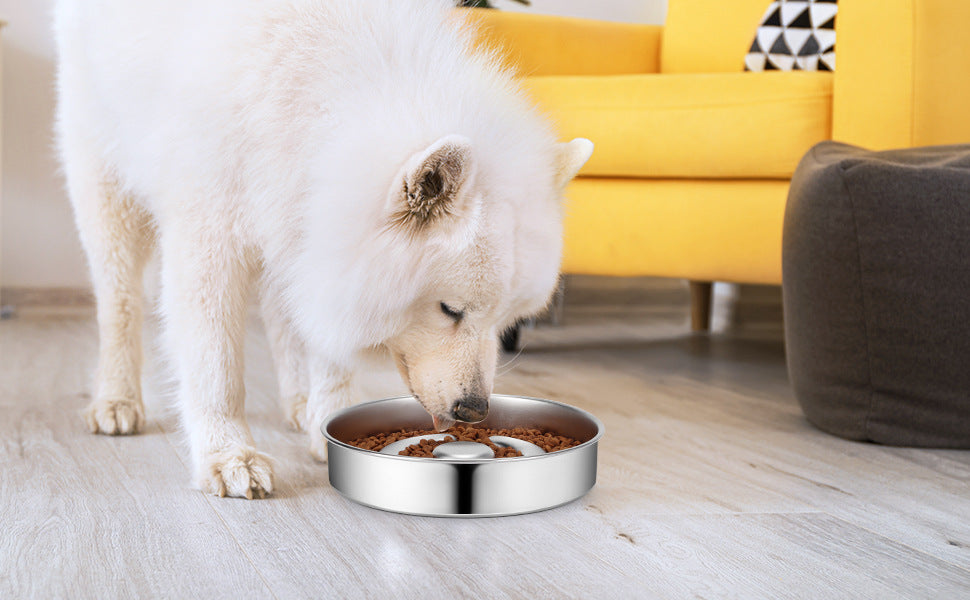 Stainless Steel Pet Slow Feeding Bowl Neck Protector Dish