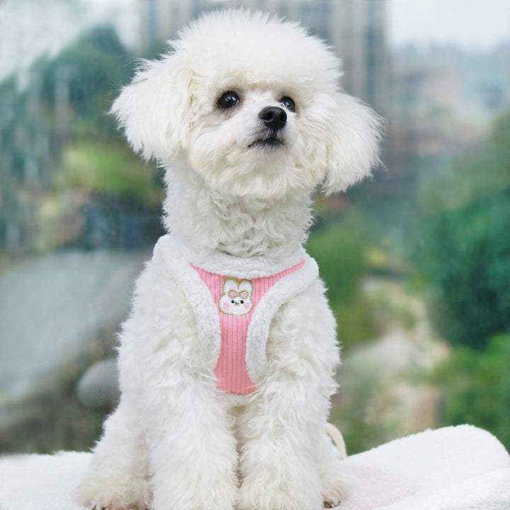 Pet Vest Harness With Chain Leash For Walking